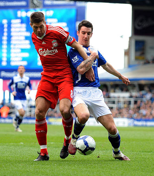 引入了国际 引入了国际